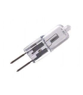BULB 24V 100W GY6.35 EURODENT