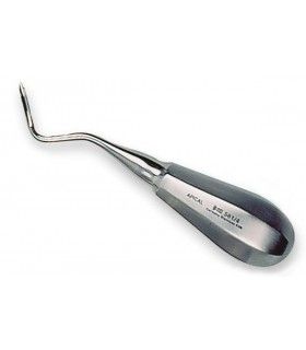 ROOT ELEVATOR APICAL