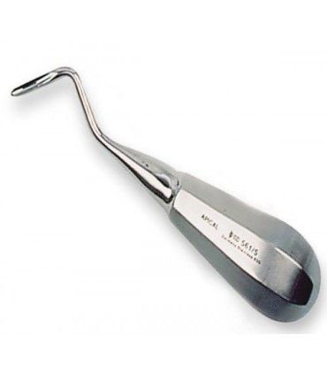 APICES ROOT 561 MARTIN