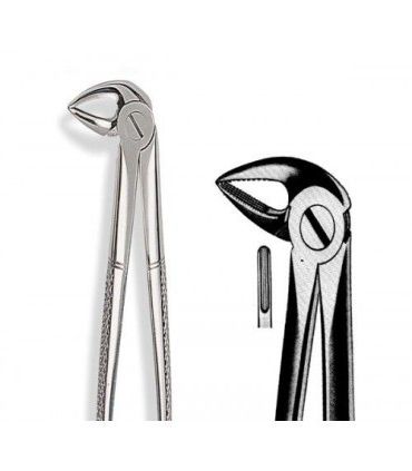 FORCEPS N.33A RAÍCES INFERIORES PICO ANGOSTO