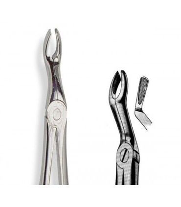FORCEPS MARTIN N.67A