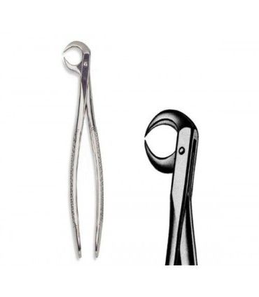 FORCEPS MARTIN N.86-C