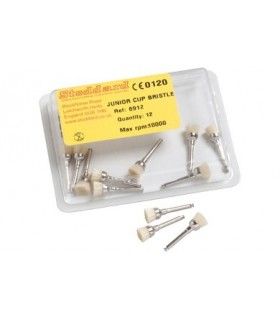 PROPHY BRUSHES STODDARD